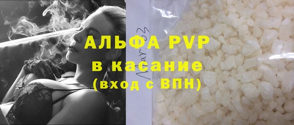 ПСИЛОЦИБИНОВЫЕ ГРИБЫ Магас