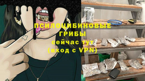 винт Мегион