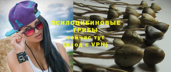 ПСИЛОЦИБИНОВЫЕ ГРИБЫ Магас