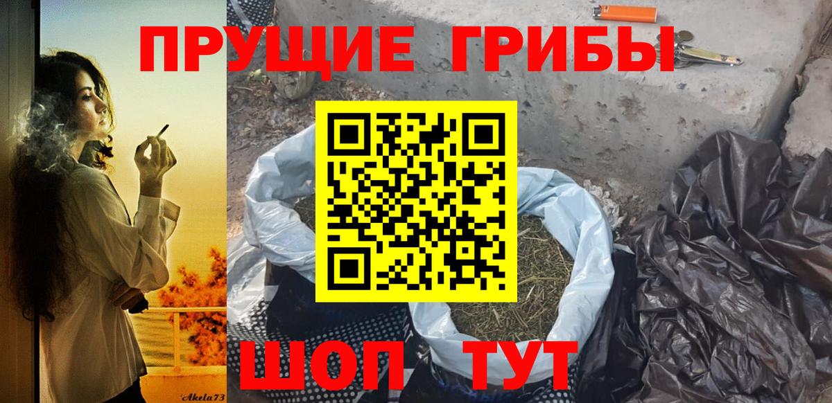 Псилоцибиновые грибы мицелий Костомукша