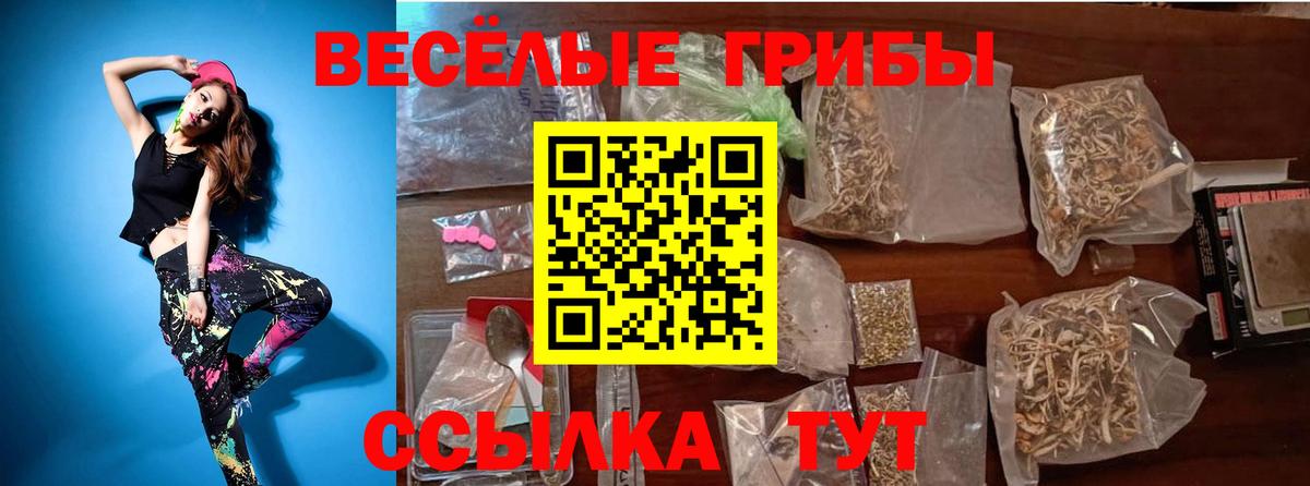Костомукша  Галлюциногенные грибы Magic Shrooms  Вход с VPN  Галлюциногенные грибы мицелий 